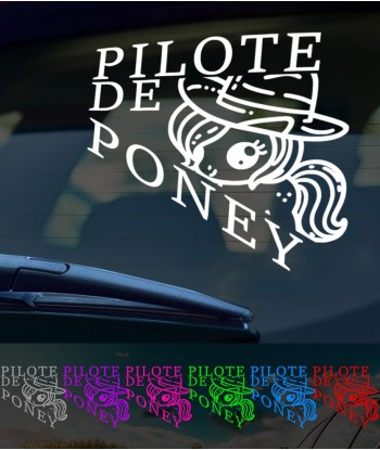 Pilote de poney