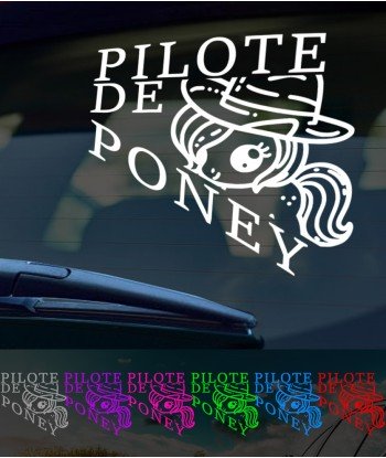 Pilote de poney
