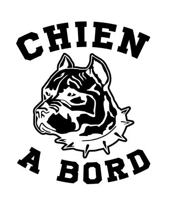 Chien à bord American...
