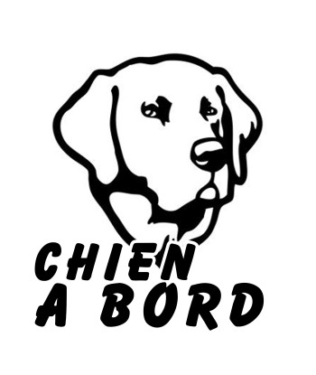 Chien à bord Labrador