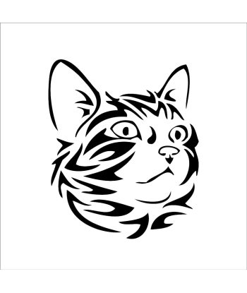 Chat tête