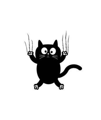Chat qui glisse