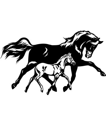 Cheval avec poulin