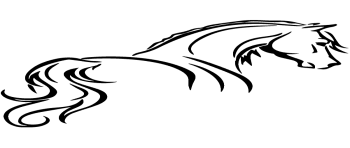Cheval de dos