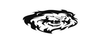 Tête de lion
