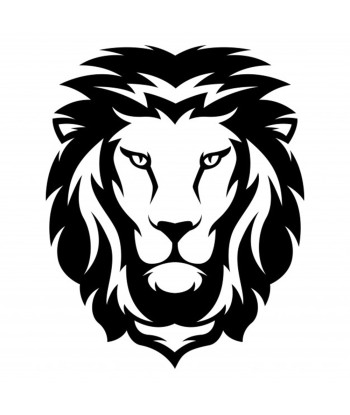 Tête de lion 5
