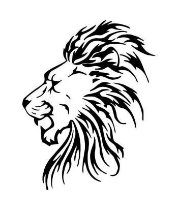 Tête de lion 7