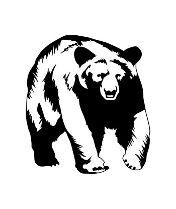 Ours silhouette