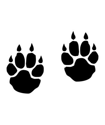 Patte d\'ours