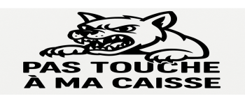 Pas touche à ma caisse ( chien méchant )
