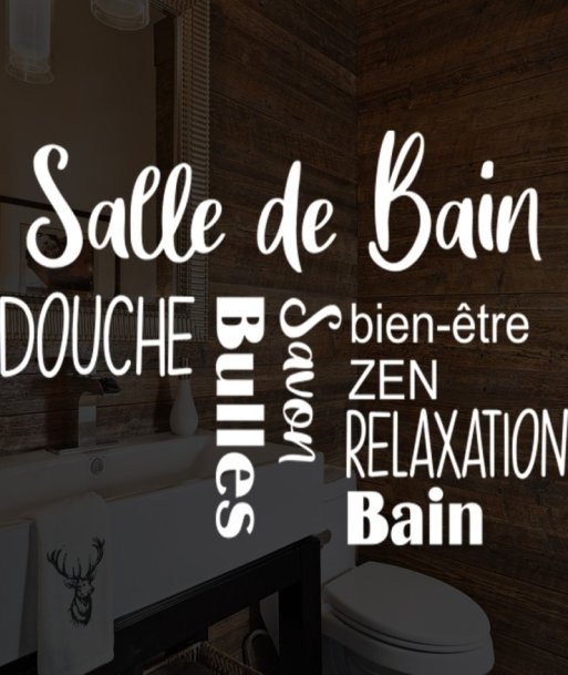 Salle de bain (D)