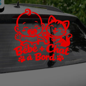 Bébé + Chat à Bord