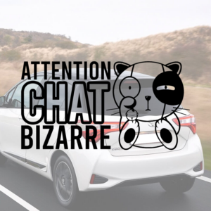 Sticker vinyle Attention chat bizzard