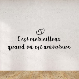 Sticker vinyle humoristique 'C'est merveilleux'.