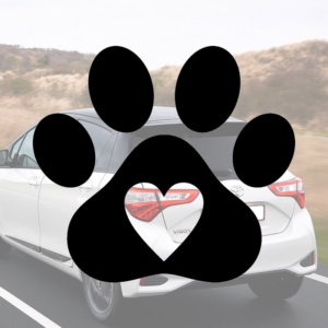 Sticker vinyle Patte Coeur pour voiture