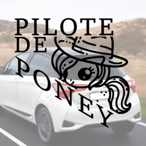 Sticker vinyle Pilote de Poney pour voiture.