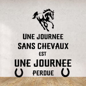 Sticker vinyle humoristique Un jour sans cheval