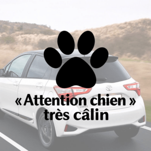 Sticker vinyle Attention chien très câlin