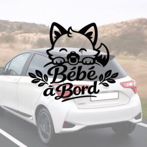 Bébé à bord renard - aperçu sur vitre de voiture